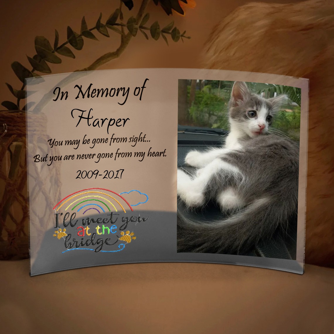 Personalized Acrylic Photo Plaque I Will Meet You At The Bridge Memorial Gift for Pet Lover