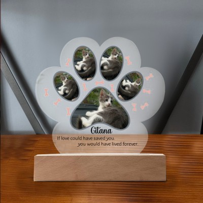 Custom Acrylic Photo Plaque You Would Have Lived Forever Memorial Gift for Pet Lover