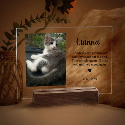 Personalized Acrylic Photo Plaque I Will Meet You At The Bridge Memorial Gift for Pet Lover