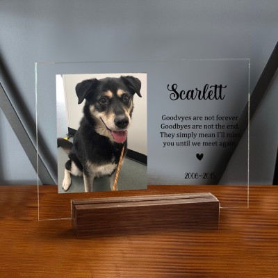 Personalized Acrylic Photo Plaque I Will Meet You At The Bridge Memorial Gift for Pet Lover