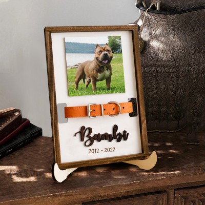 Personalized Loss of Pet Collar Frame  Memorial Gift For Pet Lovers