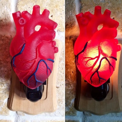Anatomical Heart Nightlight for Gothic Fantasy Home Decor