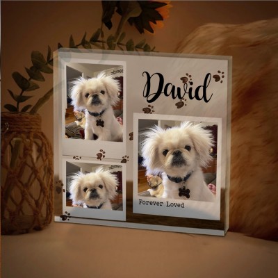 Custom Acrylic Photo Plaque Forever Loved Memorial Gift for Pet Lover