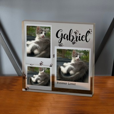 Custom Acrylic Photo Plaque Forever Loved Memorial Gift for Pet Lover