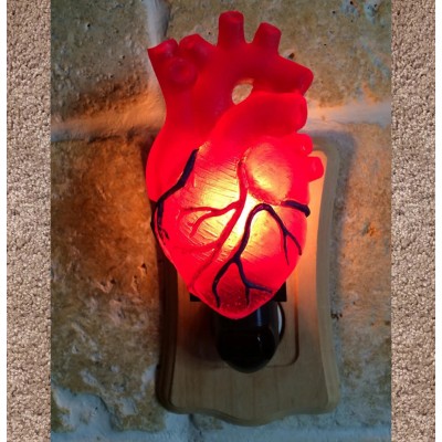 Anatomical Heart Nightlight for Gothic Fantasy Home Decor